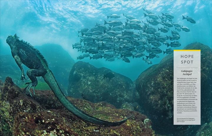 Image du produit National Geographic Das grosse Buch der Ozeane (Allemand, Sylvia Earle, 2024)