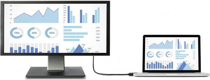 Produktbild Renkforce DisplayPort-Kabel (2 m, DisplayPort, 1.2)