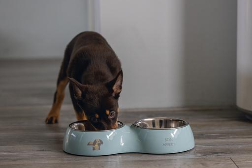 Actual product image Beeztees Puppies Double Feeding Bowl (35 cl)