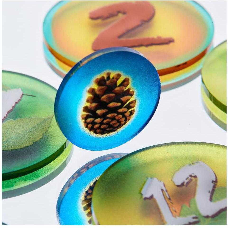 E-Raptor Token und Marker: Photosynthese -Token -Set (GB) (ERA89278)