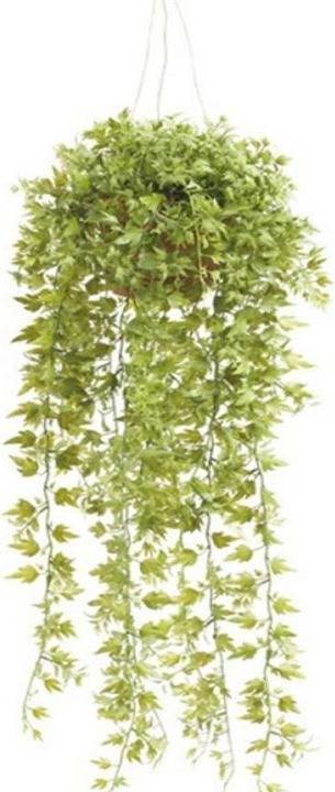 Greendeco Efeu Hngebusch (Ampel), ca. 50cm, im Kunststofftopf
