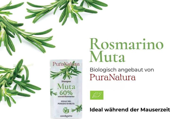 Actual product image Pura Natura Shampoo - MUTA Rosmarino Bustina (20 ml)