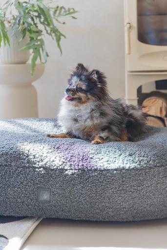 Image du produit Designed by Lotte Ribbed (Chien)