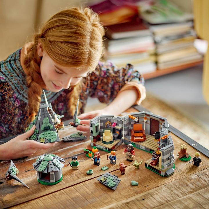 Image du produit LEGO La cabane de Hagrid : une visite inattendue (76428, LEGO Harry Potter)