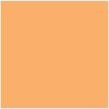 Winsor & Newton, Evidenziatori, Promarker Apricot O538