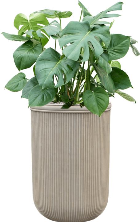 Produktbild Baq Design Vertical Rib