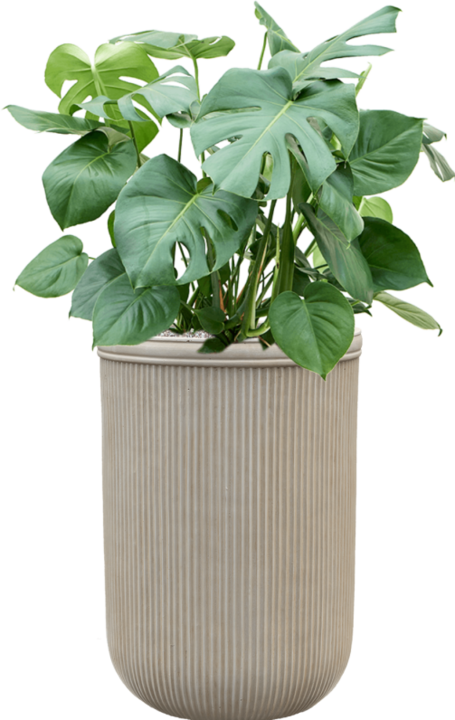 Produktbild Baq Design Vertical Rib