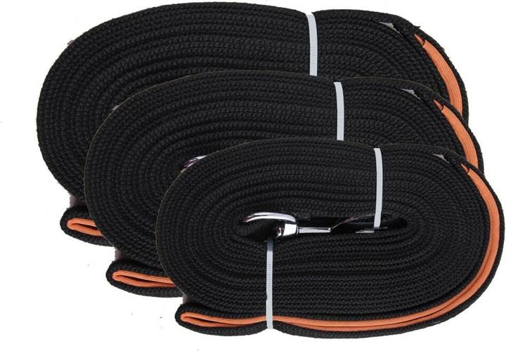 Actual product image Pawise Flat Leash 15 meter (Upbringing)