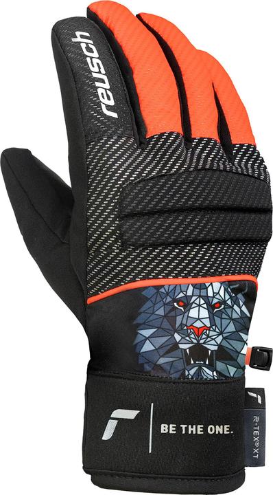 Produktbild Reusch Warrior R-Tex XT (4.5)