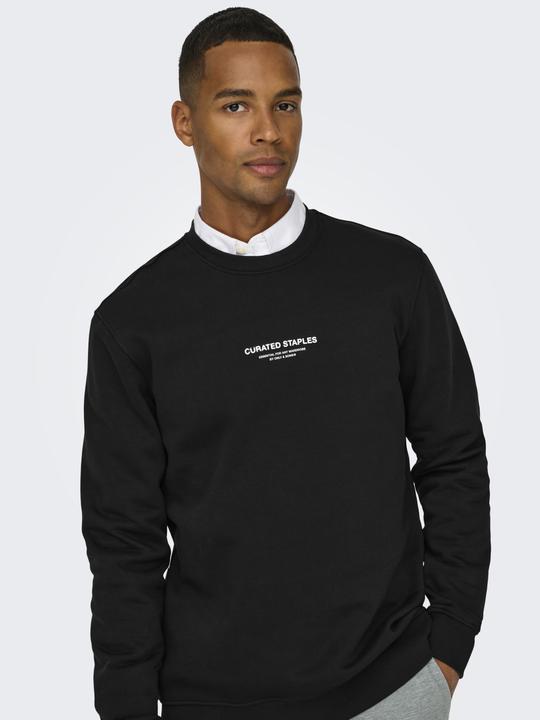 Produktbild Only & Sons Onscurated Reg Crew Neck Sweat Noos (L)