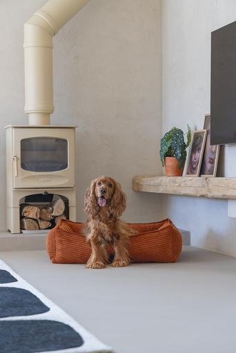 Actual product image Designed by Lotte Ribbed (Dog)