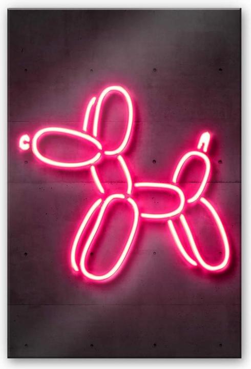 Immagine prodotto Trenddeko Cane a palloncino (130 x 200 cm)