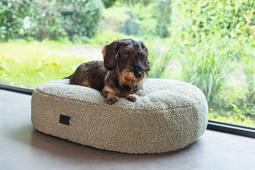 Productafbeelding Designed by Lotte Geribbeld (Hond)