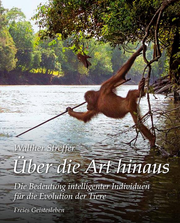 Produktbild Über die Art hinaus (Deutsch, Walther Streffer, 2016)