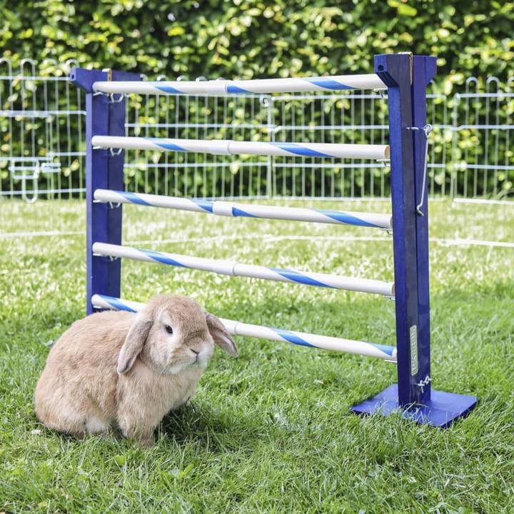 Actual product image Kerbl Combi jump (Agility)