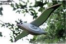 Immagine prodotto Eugy Set 3D Royal Albatross (MQ6)