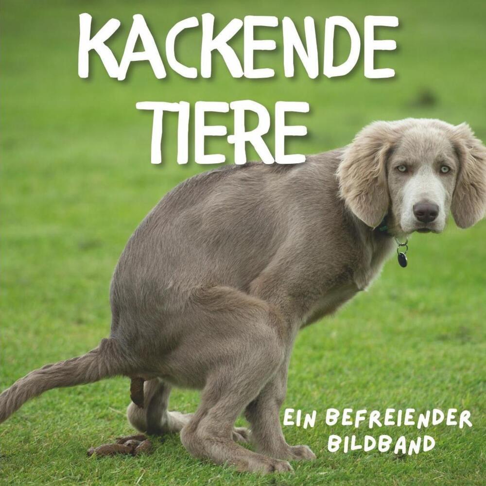 Kackende Tiere, Belletristik von Tim Fröhlich