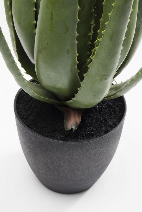 Produktbild Kare Design Aloe (69 cm)