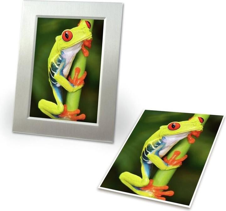 Immagine prodotto Avery Zweckform Superior Inkjet Photo Paper, 20 Blatt GRATIS 10 x 15 cm, 220 g/qm, hochglänzend, sofort tr (200 g/m², 10 x 15 cm, 40 pz.)