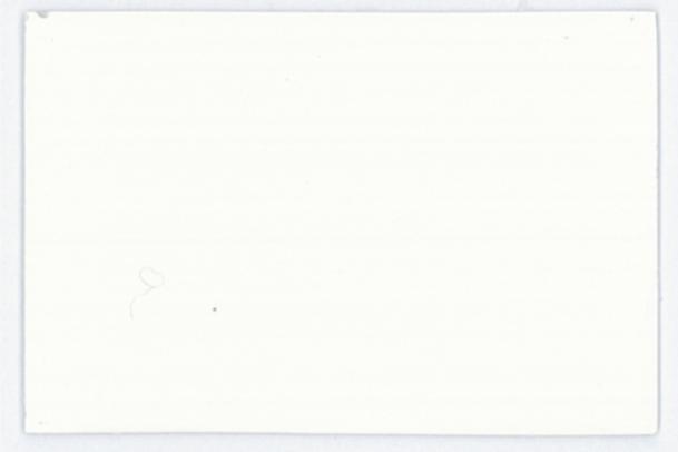 Immagine prodotto Lascaux Pittura acrilica Studio (Cozze bianco, 30 ml)