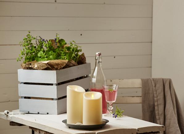 Actual product image Star Trading M-Twinkle (1 x)