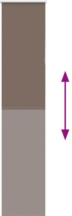 Actual product image vidaXL Verdunkelungsrollo (60 x 230 cm)