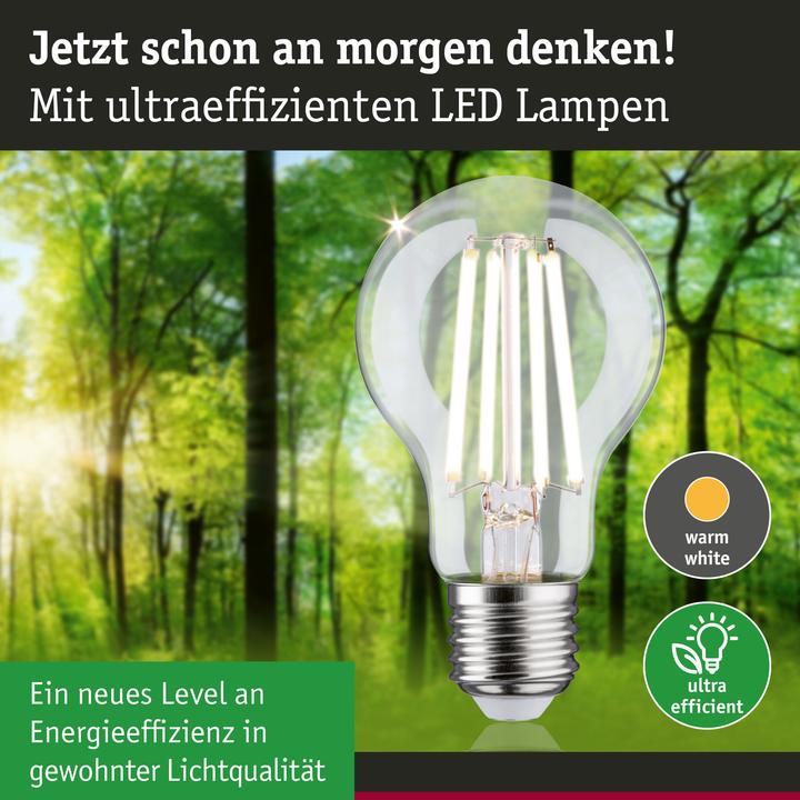 Produktbild Paulmann AGL Eco-Line Filament (E27, 4 W, 840 lm, 1 x, A)