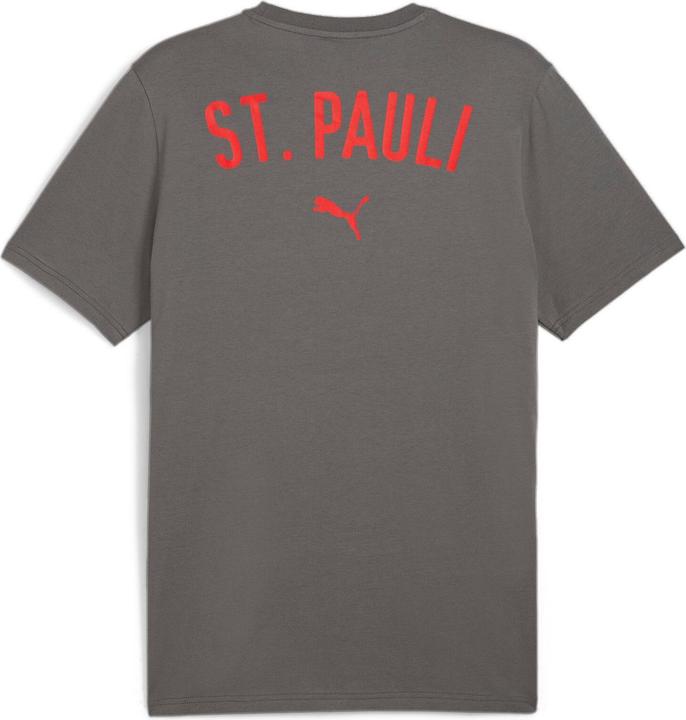 Actual product image Puma FCSP Casuals Tee (XXL)