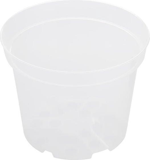 Domoletti Orchidea SBX4 (21 cm)