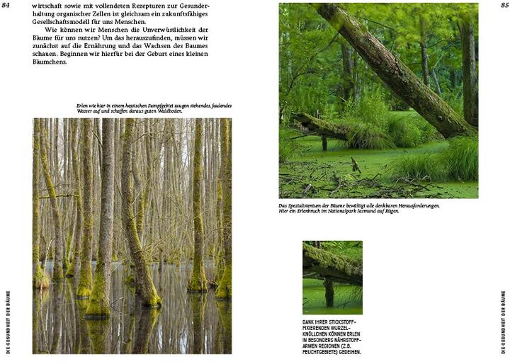 Produktbild Strategien der Natur (Deutsch, Erwin Thoma, 2019)