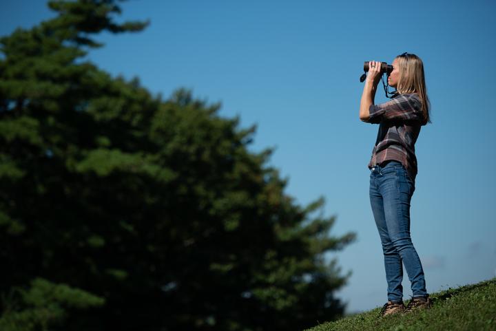 Produktbild Bushnell Forge 8x42 terrain roof prism (8 x, 42 mm)