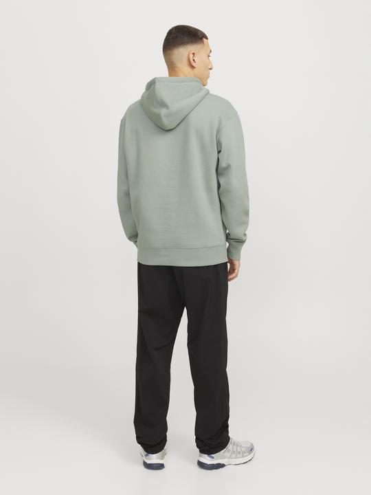 Actual product image Jack & Jones Jjestar Basic Sweat Hood Noos (XS)