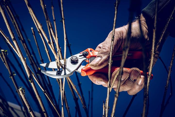 Produktbild Löwe Amboss Gartenschere 15.107