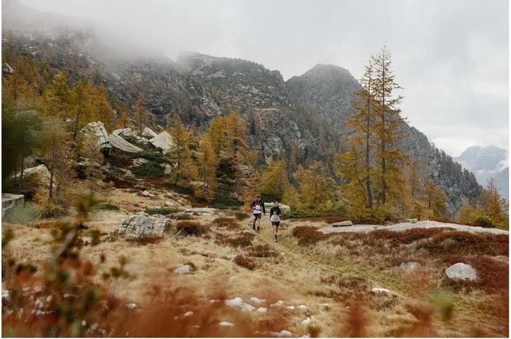 Actual product image Mammut Sertig Shorts Women (44)