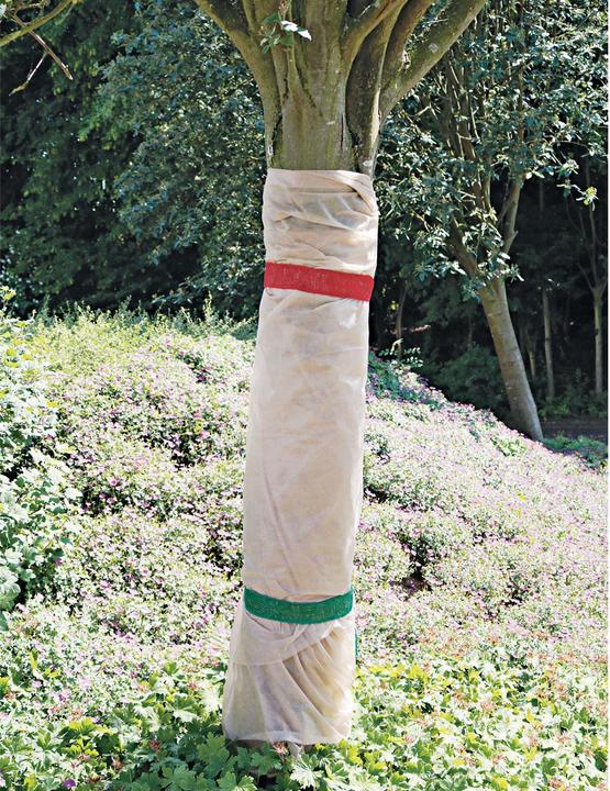 Actual product image Grüner Jan Winter protection fleece, 5 x 1.5 m, plant protection fleece, set of 4