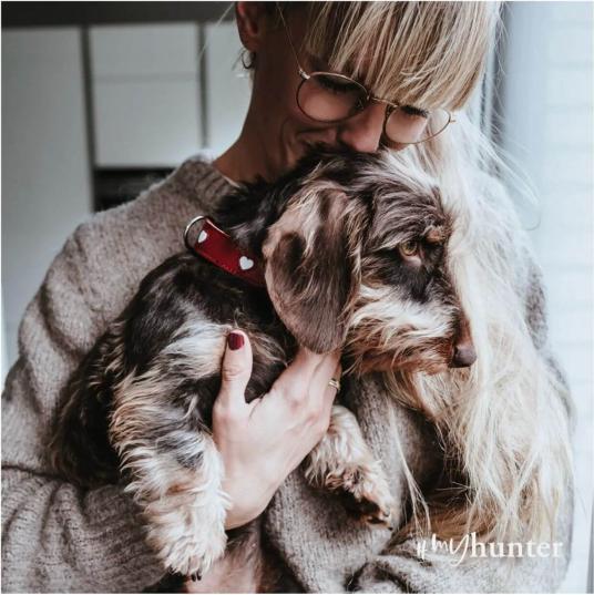 Immagine prodotto Hunter Collare Love per cani 50 (50, Cane)