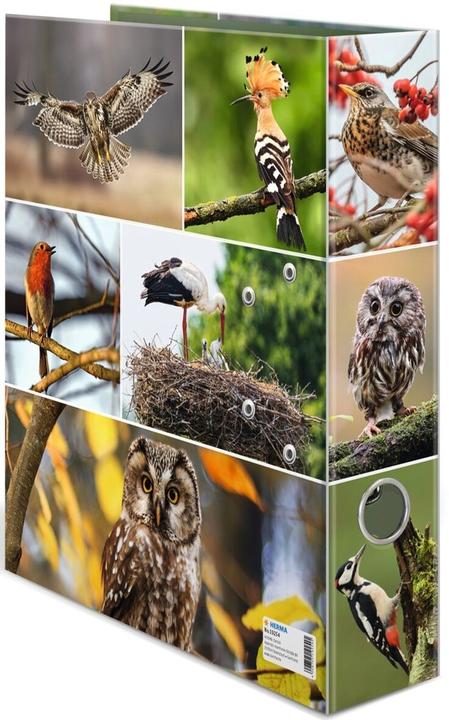 Produktbild HERMA Ordner A4 Motiv (A4, 70 mm, 1 Stück)