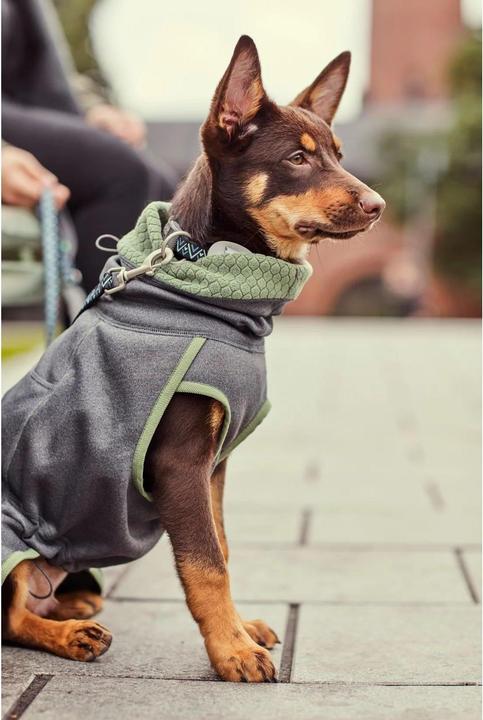 Produktbild Hurtta Razzle-Dazzle blackberry Gr.60 (60, Hundemantel)