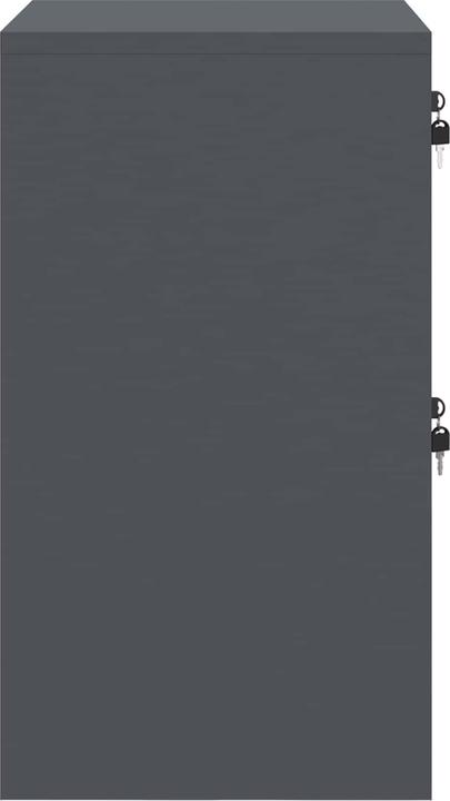 Image du produit vidaXL Büroorganizer (42 x 45.50 x 74.50 cm)