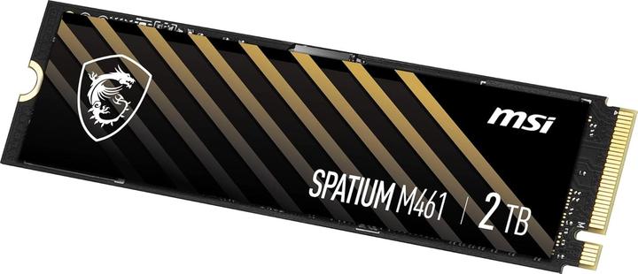 Actual product image MSI Spatium M461 (2000 GB, M.2 2280)