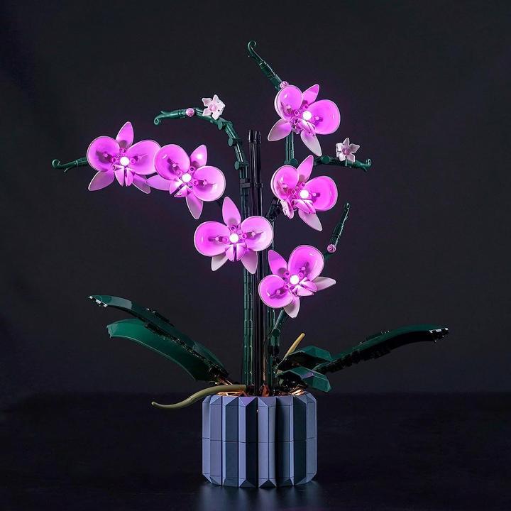 BrickBling Set de lumière LED pour LEGO Orchidée (10311)