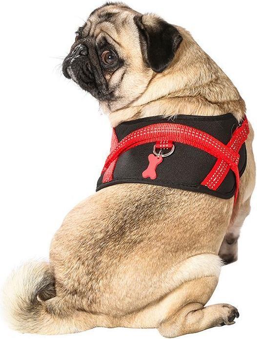 Immagine prodotto Bobby pettorina per cani eay afe eay afe (S, Cane, Sport cane)