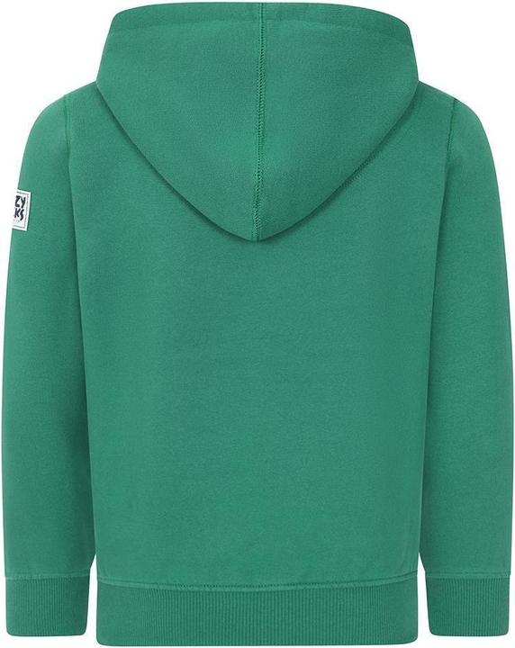 Actual product image Lazy Jacks Childrens/Kids Established Hoodie (92)