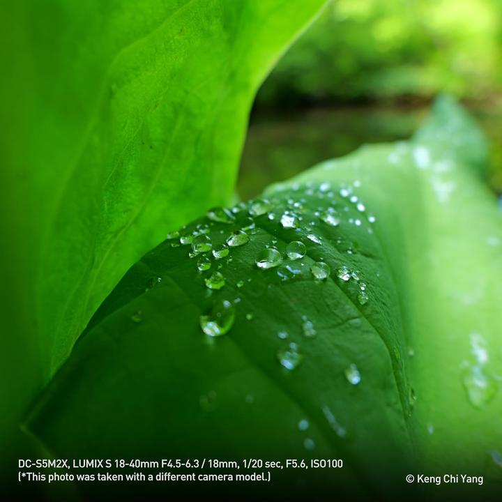 Produktbild Panasonic DC-S5D Kit (18 - 40 mm, 24.20 Mpx, Vollformat)