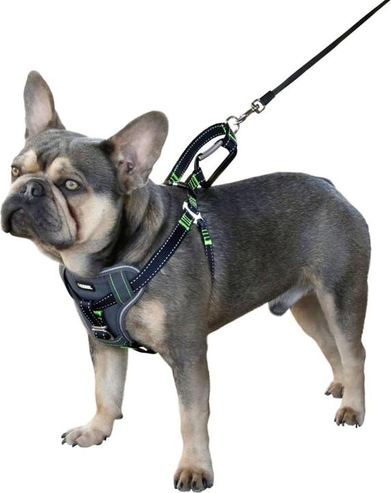Produktbild Kerbl Autosicherheitsgeschirr (Hund, Reflektoren, Komplett zu öffnen)