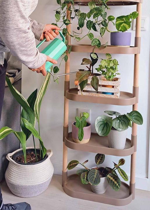 Image du produit CitySens Blumenregal