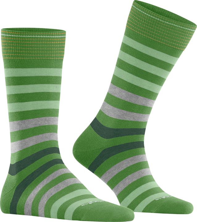 Produktbild Burlington Blackpool (Einzelpack, 40 - 46)