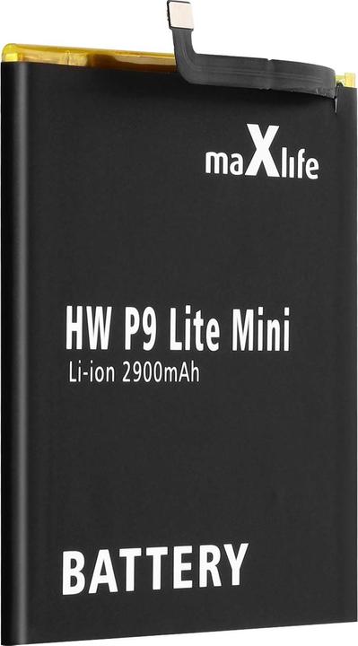 Actual product image Maxlife 2900mAh auxiliary battery