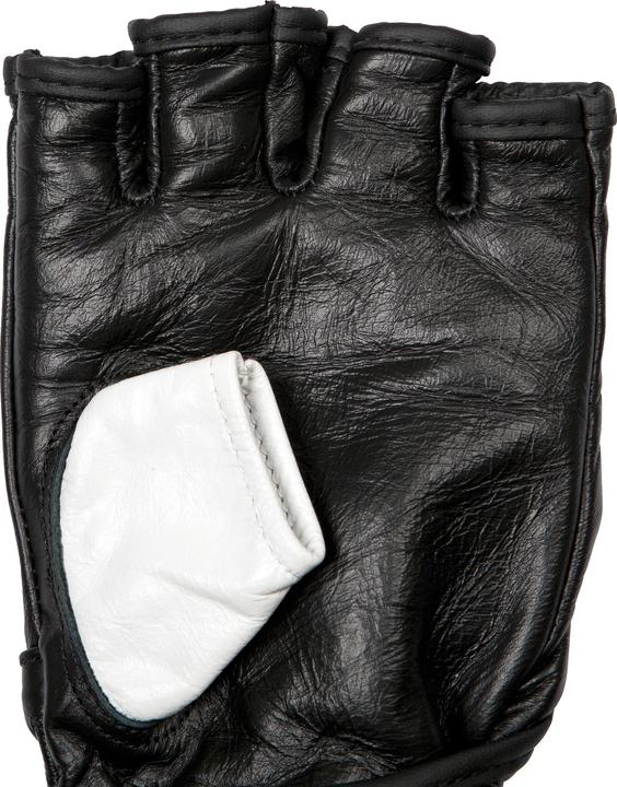 Actual product image Hammer Fitness Premium S (S)