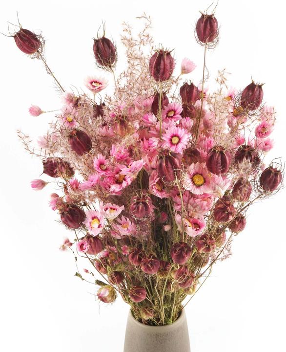 Pur und Prima Lovely Joy (Trockenblumen, 1x)